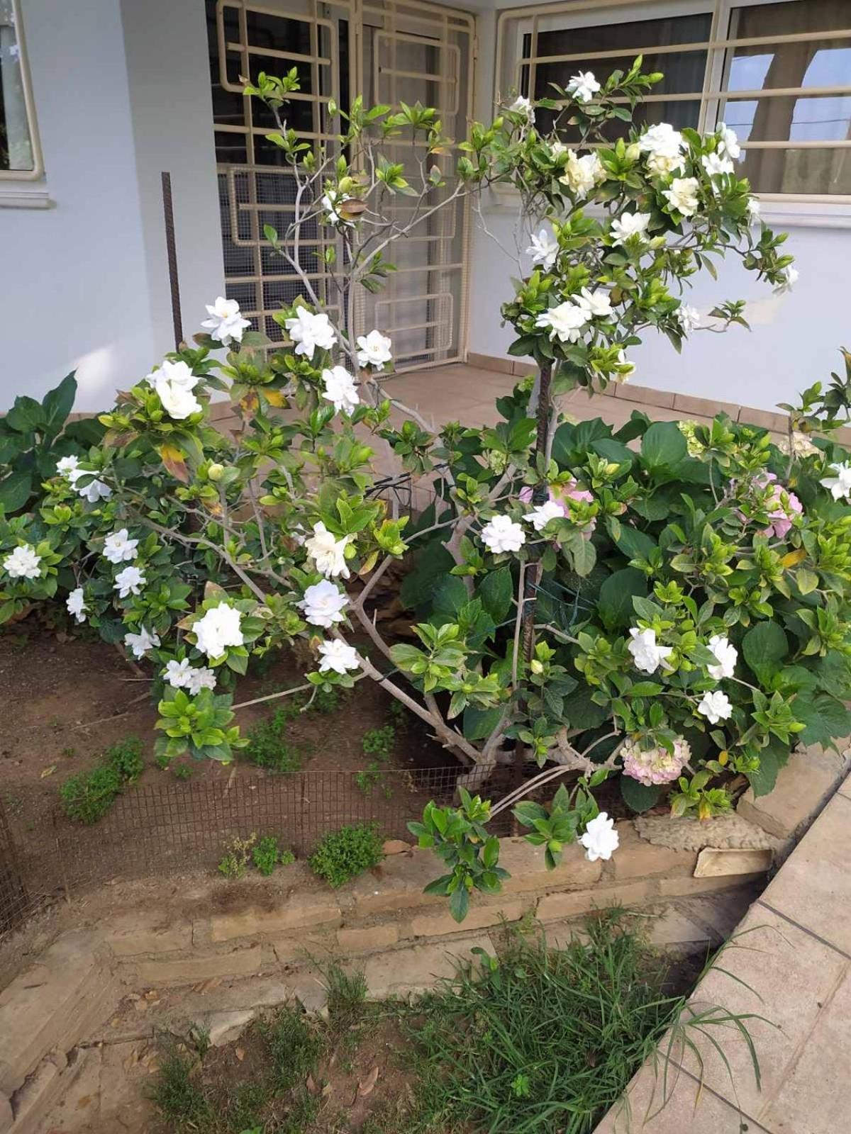 My Sunny Low Home พาทรา ภายนอก รูปภาพ